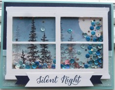 Double Window Frame Wonderland Shaker Card