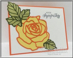 Rose Wonder and Rose Garden