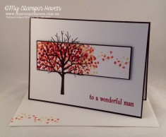 Focusing the Spotlight –Rachael Lewsley