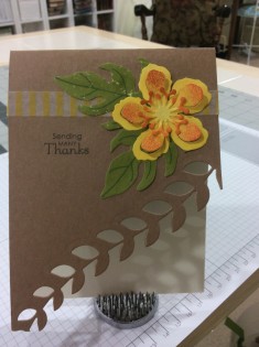 Occasions Catalog Sneak Peek!