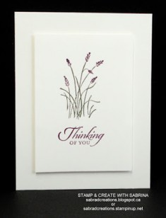 Stamp & Create With Sabrina: Wetlands Card Class Part 2