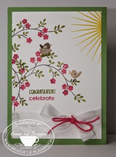 ……Yvonne is Stampin’ & Scrapping…..: LENTE!!!