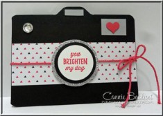 Camera Mini Photo Album, Sunburst Sayings, punch art, Pop of Color, Swirly Squibbles Thinlets (S ...