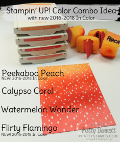 Stampin’ Up! In Color Combo Ideas – Patty’s Stamping Spot
