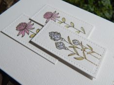 Craft-E-Place: Two cards, one stamp set …