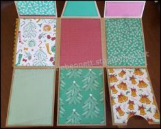 Sneak Peek in a Mini album… : Christine’s Crafty Blog
