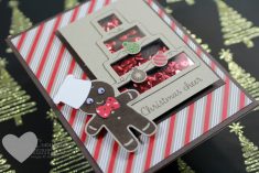 How To Create a Cake Shaker Card – Luvin Stampin