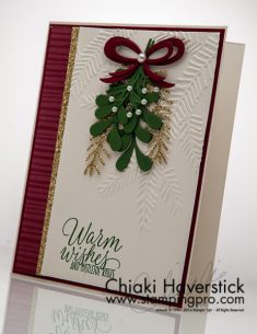 Christmas Card 2016: Mistletoe Wishes