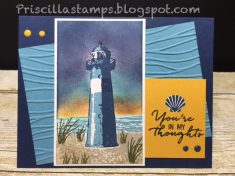 Stampin’ Amigos: Another High Tide?