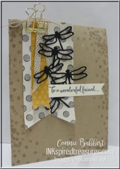 Dragonfly Dreams Kraft Gift Bag by Connie Babbert
