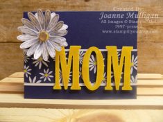 Daisy Delight Mother’s Day Card