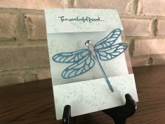 April 2017 – OnStage Savannah – Barbara Stitt