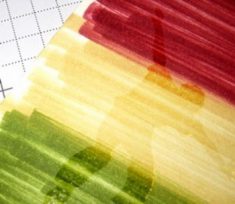 SUDSOL Articles | Joseph’s Coat