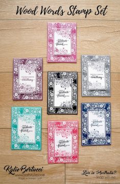 Kylie Bertucci Independent Demonstrator Australia: Kylie’s Facebook Live Chat and Crafting