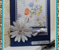 Sneak Peek #3 – Delightful Daisy Birthday – Scraps By Sissy