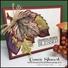 Bleached Vintage Leaves Card – Video Tutorial – Simply Simple Stamping