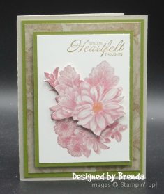 Stamp with Tammy: Nacho Average Shoebox Swap