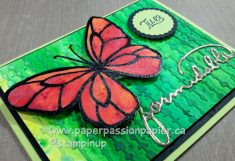 Beautiful Day Butterfly