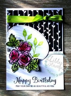 SUDSOL Info & Help – Article: Die Cut Stamping with Stamparatus and Colouring Techniqu ...