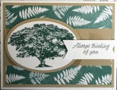 Rooted in Nature Suite of Products; Birthday Cards; Stampin’ Up Nature’s Poem Suite