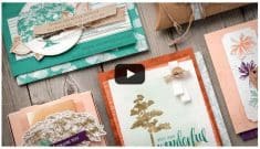 SUDSOL Articles | Down to the Roots by Stampin’ Up!