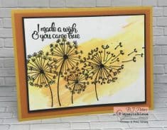 Dandelion Wishes and Brusho Crystal Colors – BJ’s Stampin’ Spot