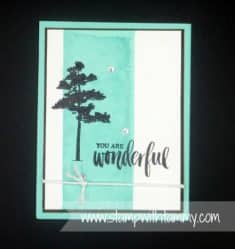 Stamp with Tammy: Rooted In Nature