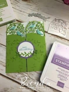 Stamping with The Copper Cropper: Stampin’ Up! Botanical Bliss Fun Fold