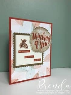 Stamping with The Copper Cropper: Stampin’ Up! Rooted In Nature