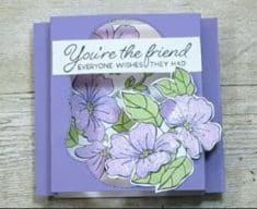 SUDSOL Info & Help – Article: Shadow Box Card has been added to SUDSOL