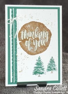 Sanzstamps: April Onstage Display board