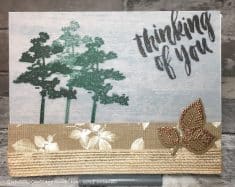 Thinking of You stamped by Beth Schreiber, Kenmore NY, USA stampsandcoffee@yahoo.com