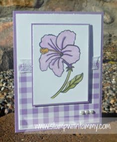 Stamp with Tammy: CARD: Humming Along