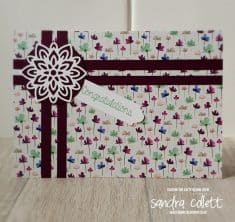 Sanzstamps: #CTC201 – Holiday Catalogue Cover