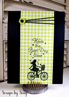 One for All Gingham – Scraps By Sissy