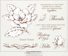 Good Morning Magnolia