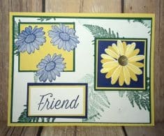 Daisy Lane created by Cindy Fuller