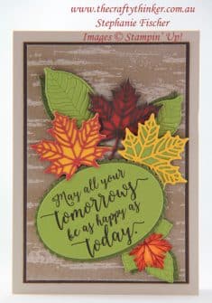 The Crafty Thinker: Stephanie Fischer – Independent Stampin’ Up Demonstrator: Birch  ...