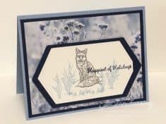 Feels Like Frost Designer Series Paper; Stampin’ Up; Nature’s Beauty Stamp Set
