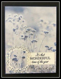 Feels Like Frost Suite – Stampin’ Studio