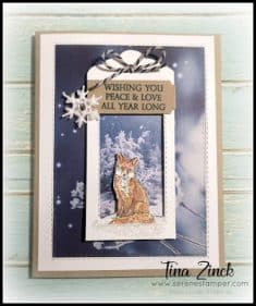 The Serene Stamper: Nature’s Beauty and Feels Like Frost Christmas Cards – VIDEO