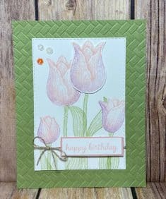 Timeless Tulips Created By Beth Schreiber