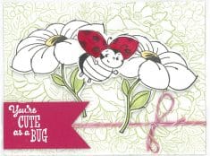 Little Lady Bug by Beth Schreiber