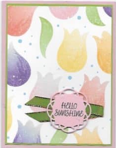 Pleased as Punch Tulips