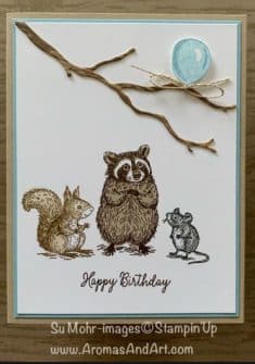 Su Mohr Special Someone’s Birthday Surprise