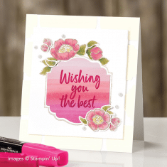 Sale-a-Bration – Second Release March 3 – STAMP WITH BRIAN