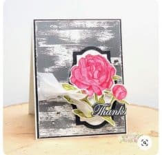 Dry Brush with Prized Peony