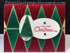 The Right Triangle Bundle