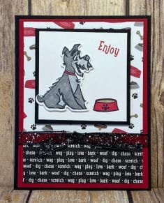 Pampered Pets Created By Shelly Peck