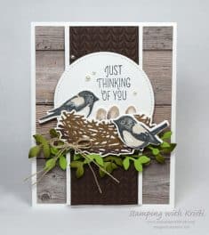 Alternate Monday Stampin’ Up! Birds and Branches – Stamping With Kristi